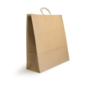Large Shopper Paper bag 250